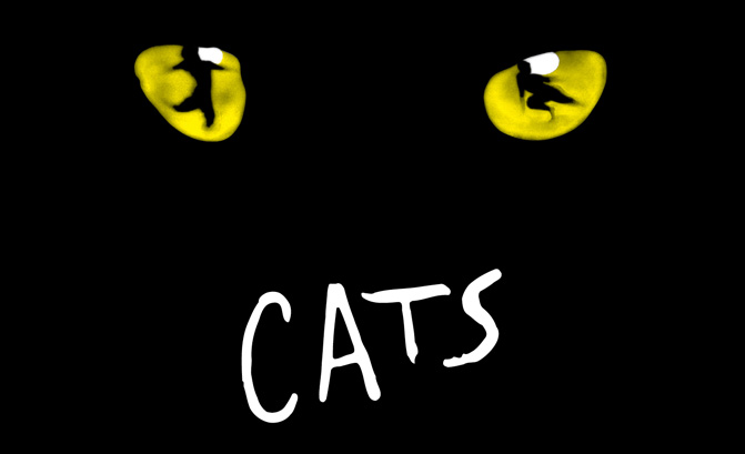 Todd McKenney in cats